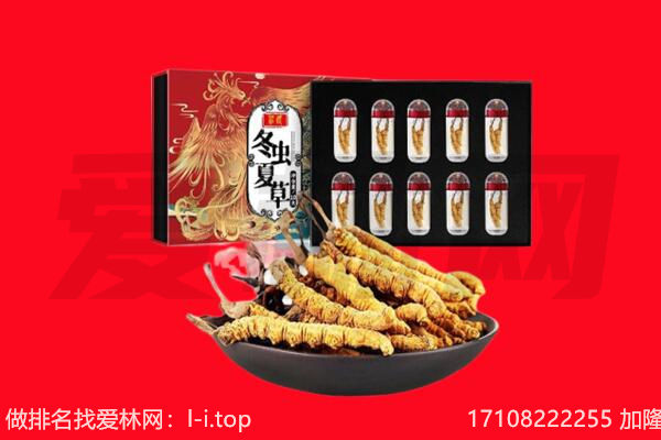海口龙华区回收虫草.jpg